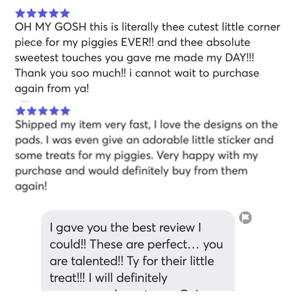 Guinea Pig Premium Fleece Cage Liner 24"x 47" Jack O Lantern Orange - Picture 4 of 4